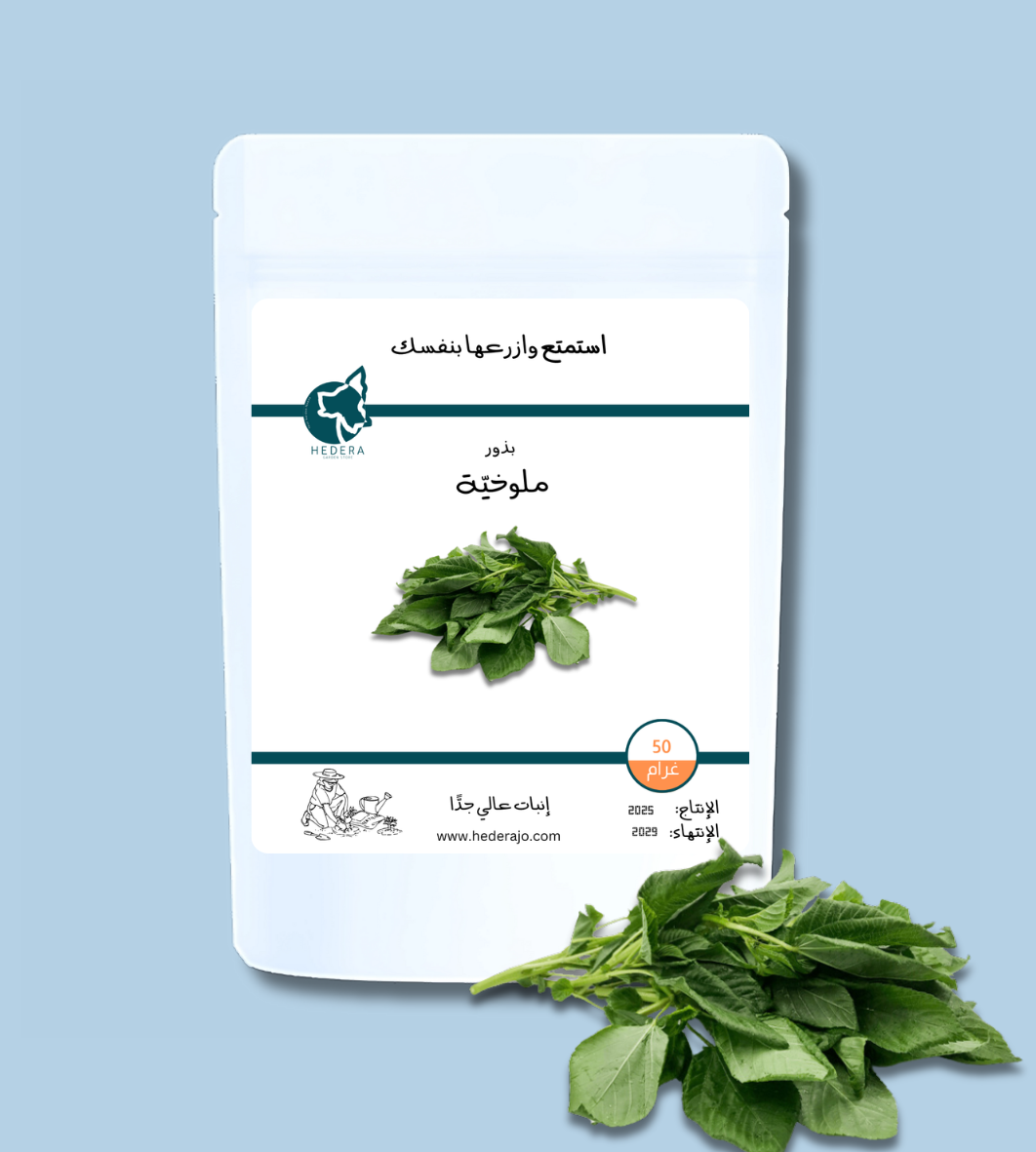 بذور ملوخية عالية الجودة - High Quality Mulukhiyah Seeds