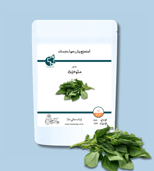 بذور ملوخية عالية الجودة - High Quality Mulukhiyah Seeds