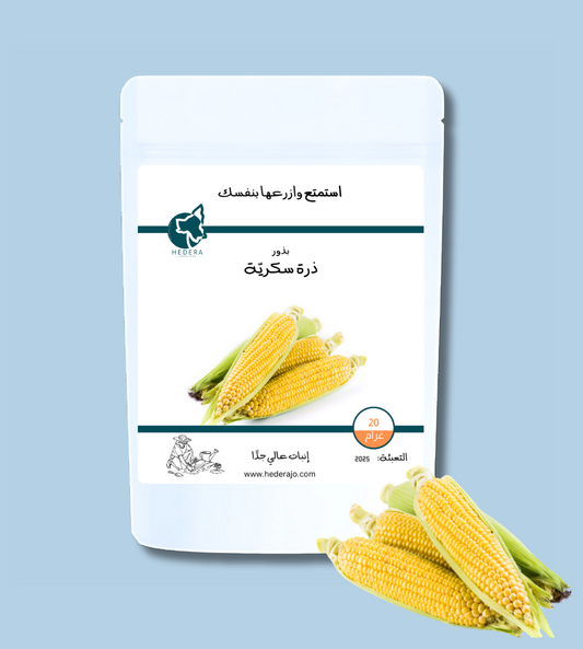 بذور ذرة سكرية عالية الجودة - High Quality Sweet Corn Seeds