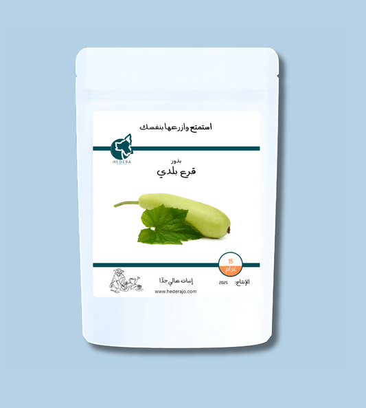 بذور قرع بلدي عالية الجودة - High Quality Green Pumpkin Seeds