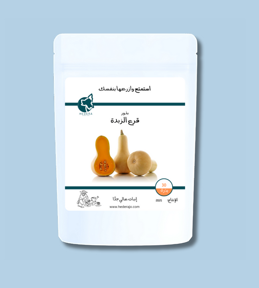 بذور قرع الزبدة عالية الجودة - High Quality Butternut Squash Seeds