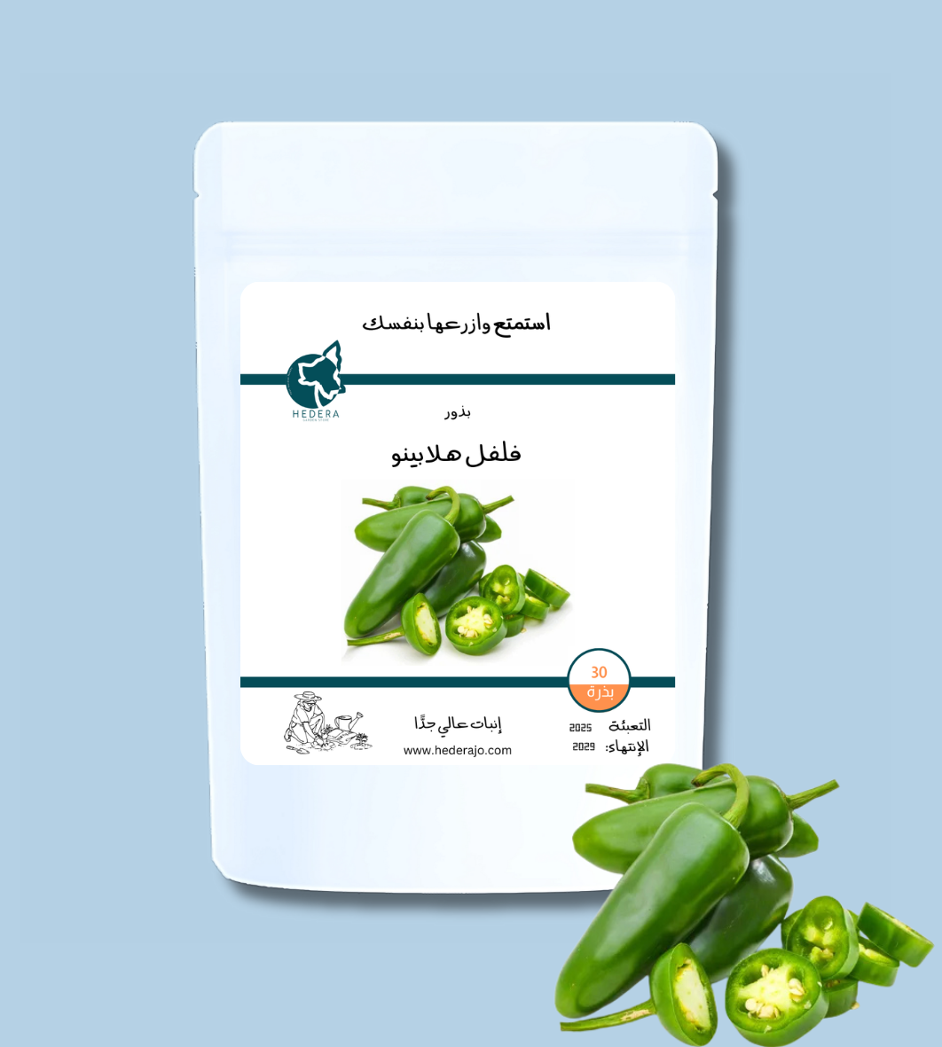 بذور فلفل هالابينو عالية الجودة – High Quality Jalapeño Pepper Seeds