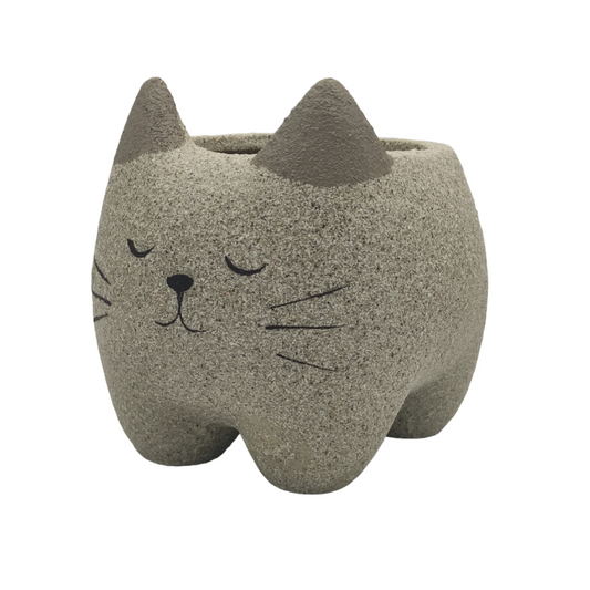 حوض كيتي كات الإسمنتي - Kitty Cat Cement Pot