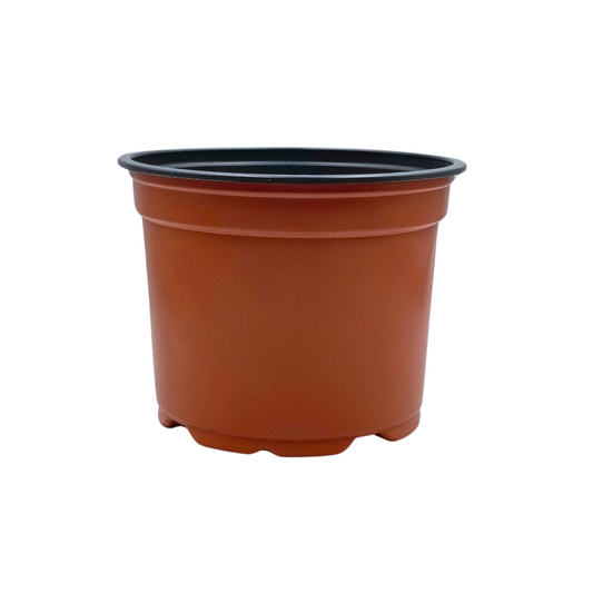 حوض تشتيل بلاستيك 700 مل - Starter Seedling Pots 700 ml