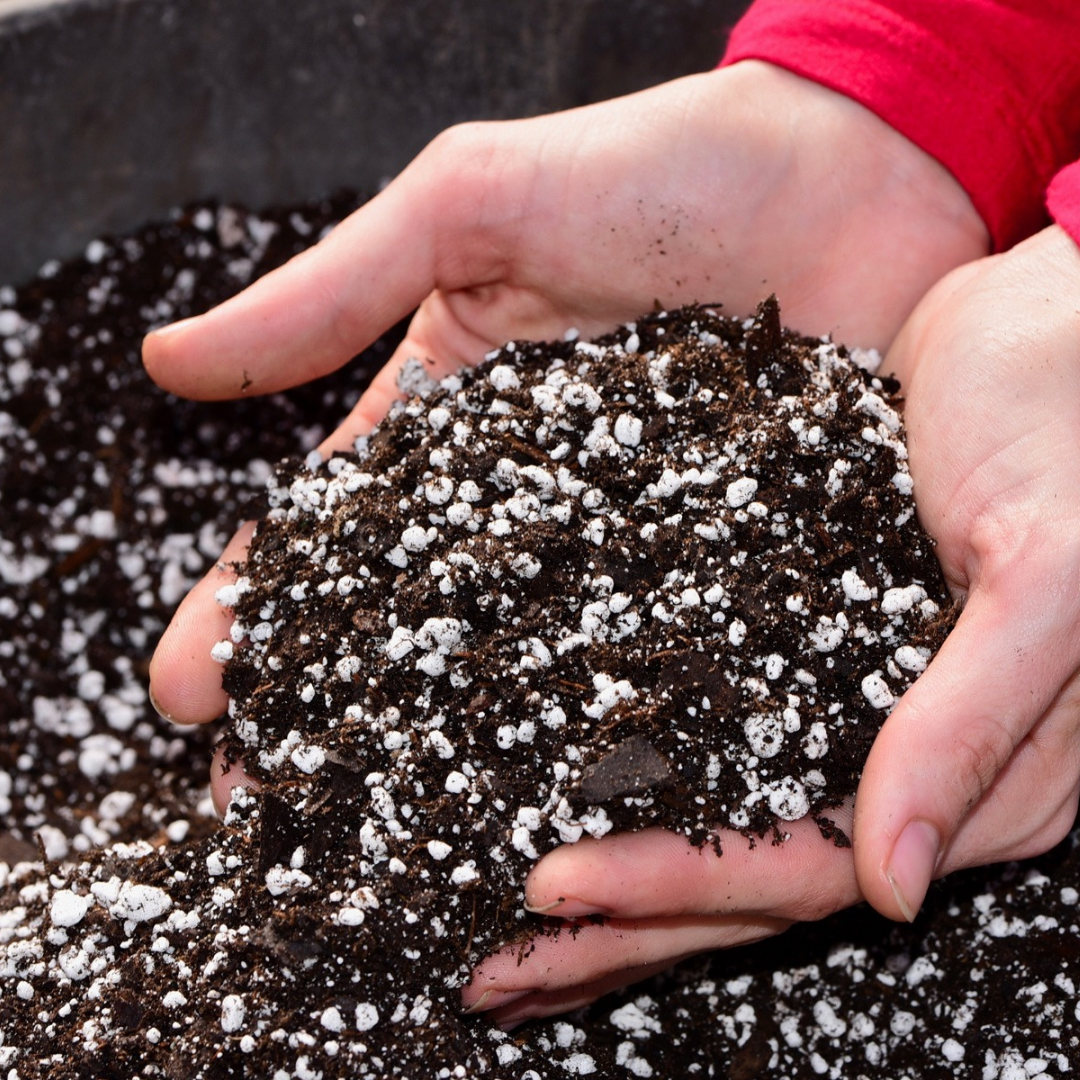 هيدرا مكس خليط تربة زراعي عالي الجودة عدد 3 - Hedera Mix Premium Quality Potting Mix 3 Bags