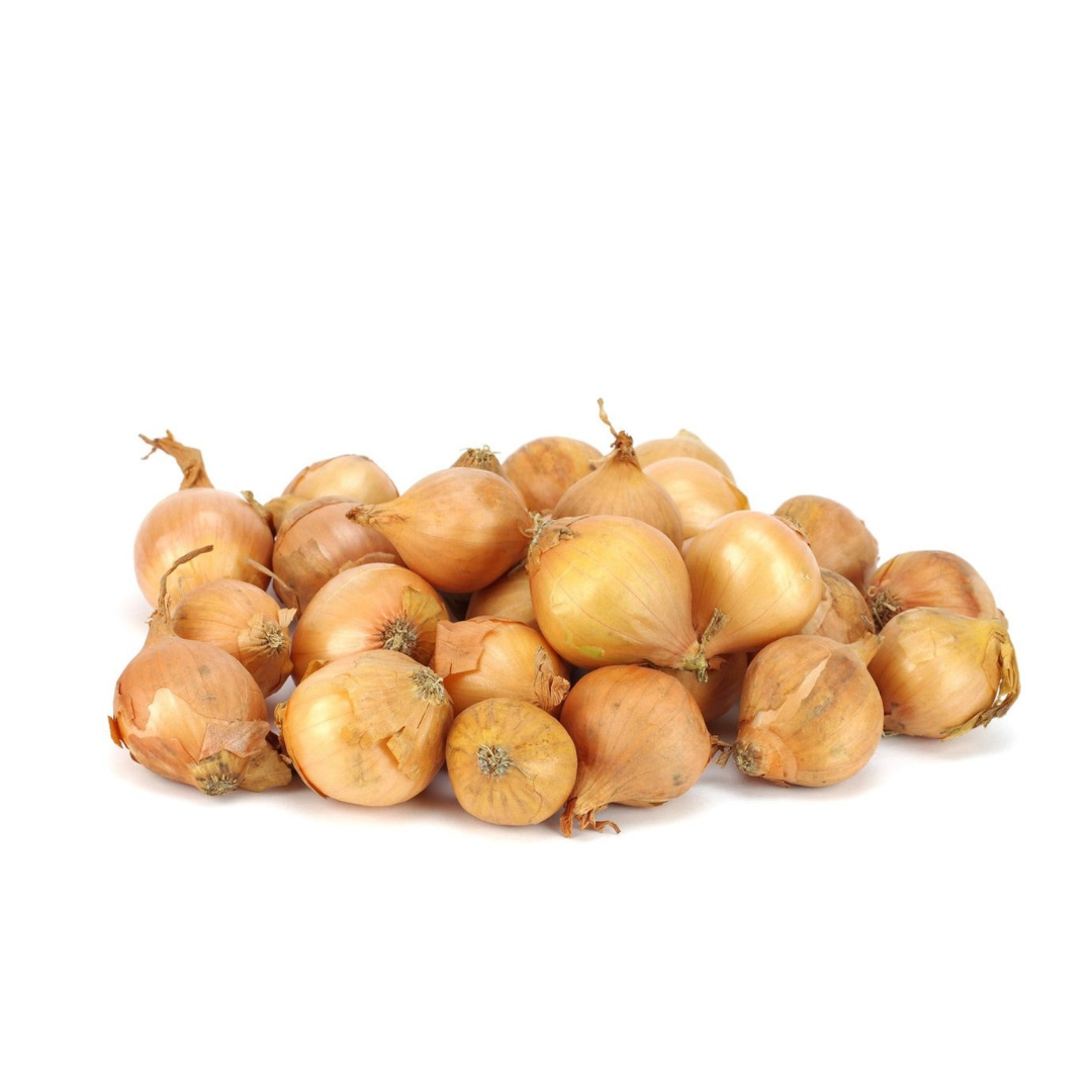 بصل قنار للزراعة 1 كغم - Baby Onion 1 kg