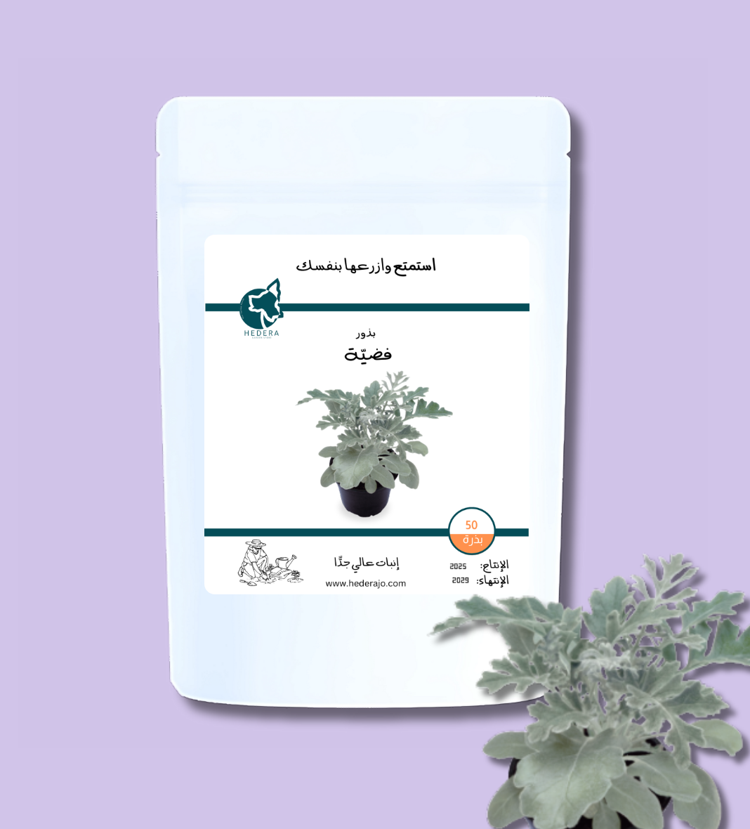 بذور فضيّة رفيعة عالية الجودة - High Quality Senecio cineraria - Silver Dust Seeds
