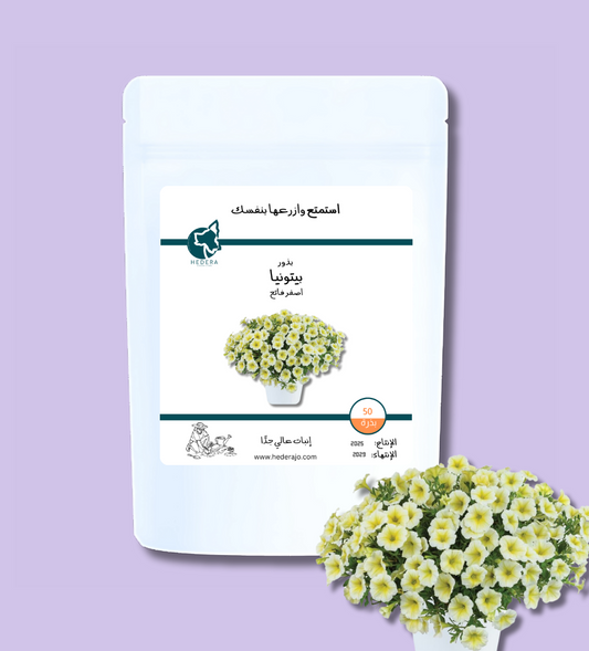 بذور بيتونيا أصفر فاتح عالية الجودة - High Quality Petunia light yellow Seeds