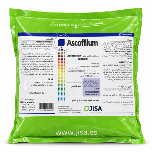 أسكوفيلوم Ascophyllum من JISA مستخلص طحالب بحرية عبوة 1 كغم