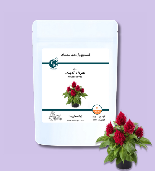 بذور عرف الديك نيولوك عالية الجودة - High Quality Celosia New Look Seeds