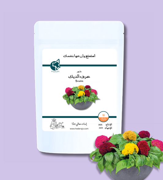 بذور عرف الديك الدماغي عالية الجودة - High Quality Celosia Cristata Brainiac Mix Seeds