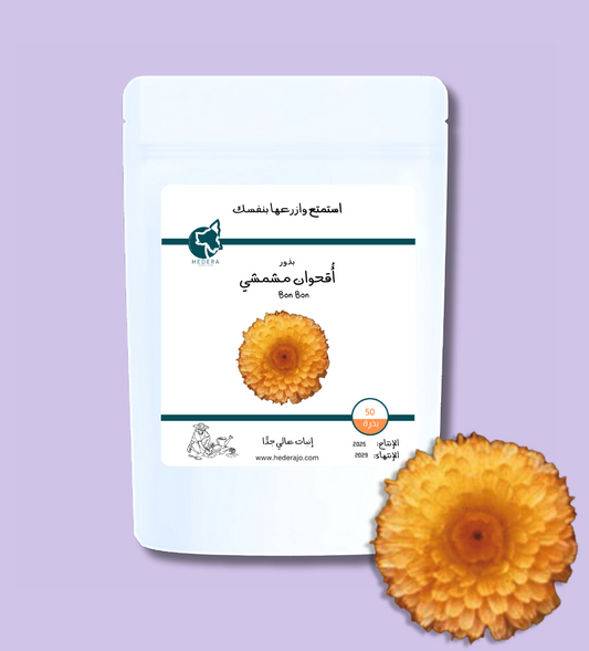 بذور أقحوان مشمشي عالية الجودة - High Quality Calendula Officinalis Bon Bon Apricot Seeds