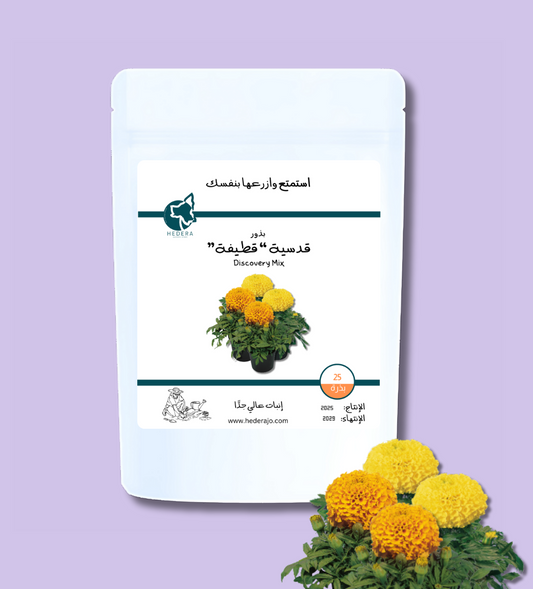 بذور قدسيّة إفريقية ديسكوفري ( قطيفة ) عالية الجودة - High Quality Tagetes erecta discovery mix Seeds