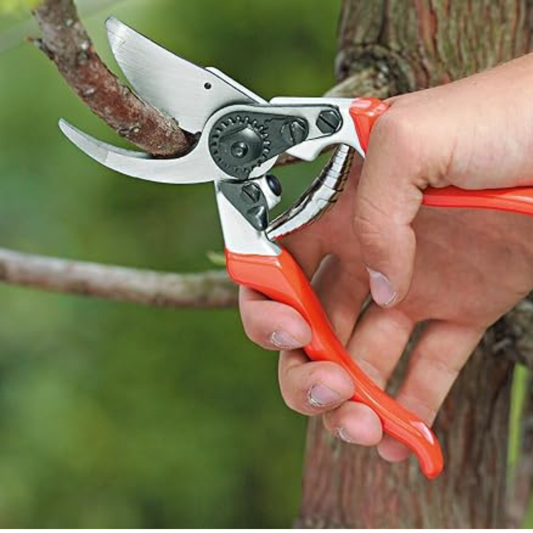 مقص تقليم سنوكر - Tree pruning scissors Snooker