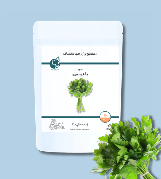 بذور بقدونس عالية الجودة - High Quality Parsley Seeds