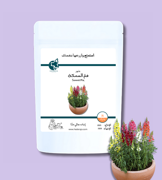 بذور فم السمكة عالية الجودة - High Quality Snapdragon Seeds