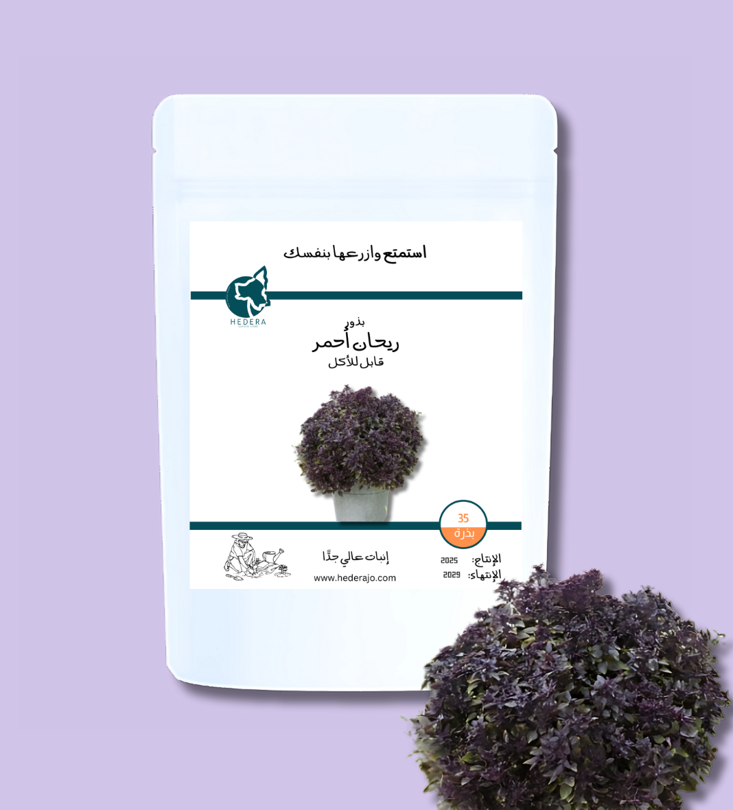 بذور ريحان مكبس أحمر قابل للأكل عالية الجودة - High Quality Red Basil Seeds