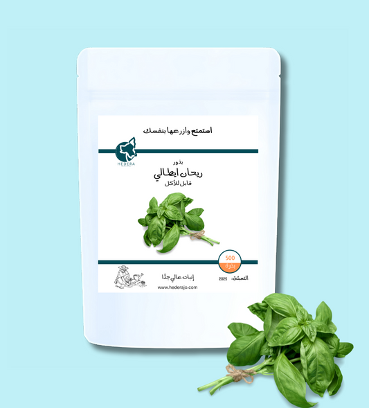 بذور ريحان ايطالي قابل للأكل عالية الجودة - High Quality Edible Italian Basil Seeds