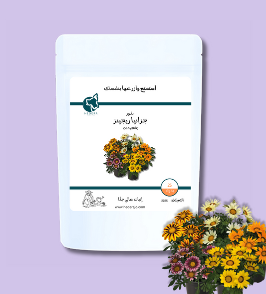 بذور جزانيا عالية الجودة - High Quality gazania zany mix Seeds