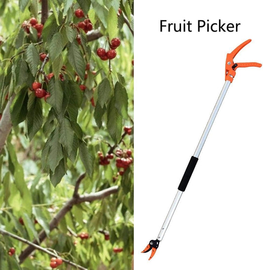 قاطفة ثمار ومقص أغصان رفيعة - Fruit Picker 130cm