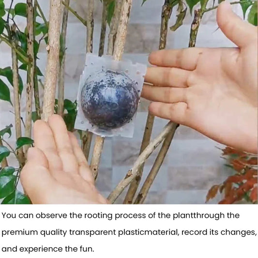 كرة الترقيد الهوائي 8 سم - Propagation Root Ball 8 cm