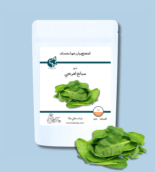بذور سبانخ افرنجي عالية الجودة - High Quality Spinach Seeds