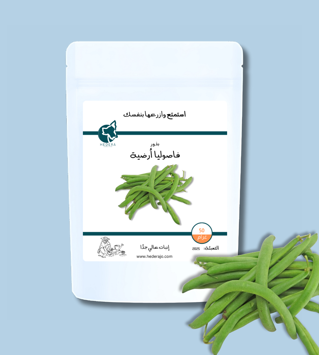بذور فاصوليا عالية الجودة - High Quality Green Beans Seeds