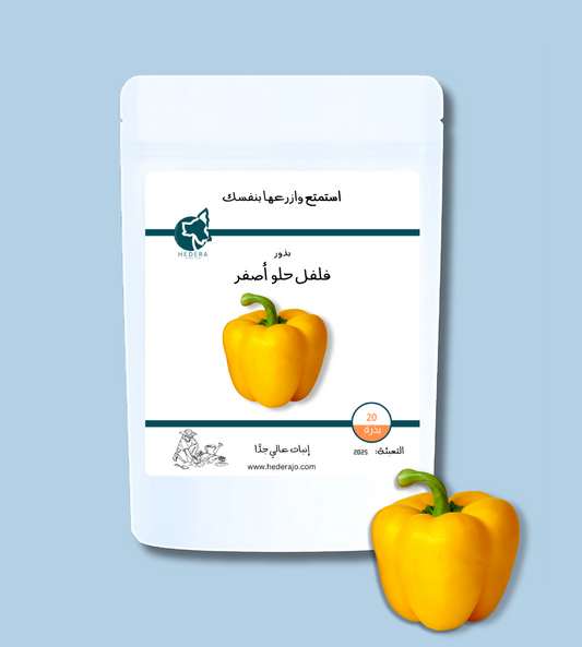 بذور فلفل حلو أصفر عالية الجودة - High Quality Yellow Sweet Pepper Seeds
