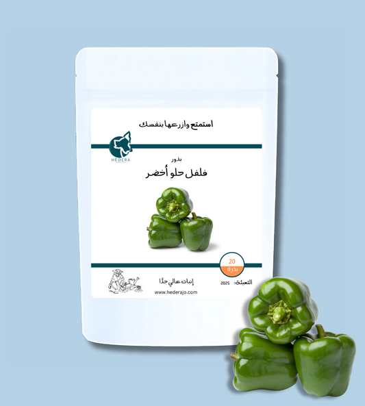 بذور فلفل حلو أخضر عالية الجودة - High Quality Green Sweet Pepper Seeds