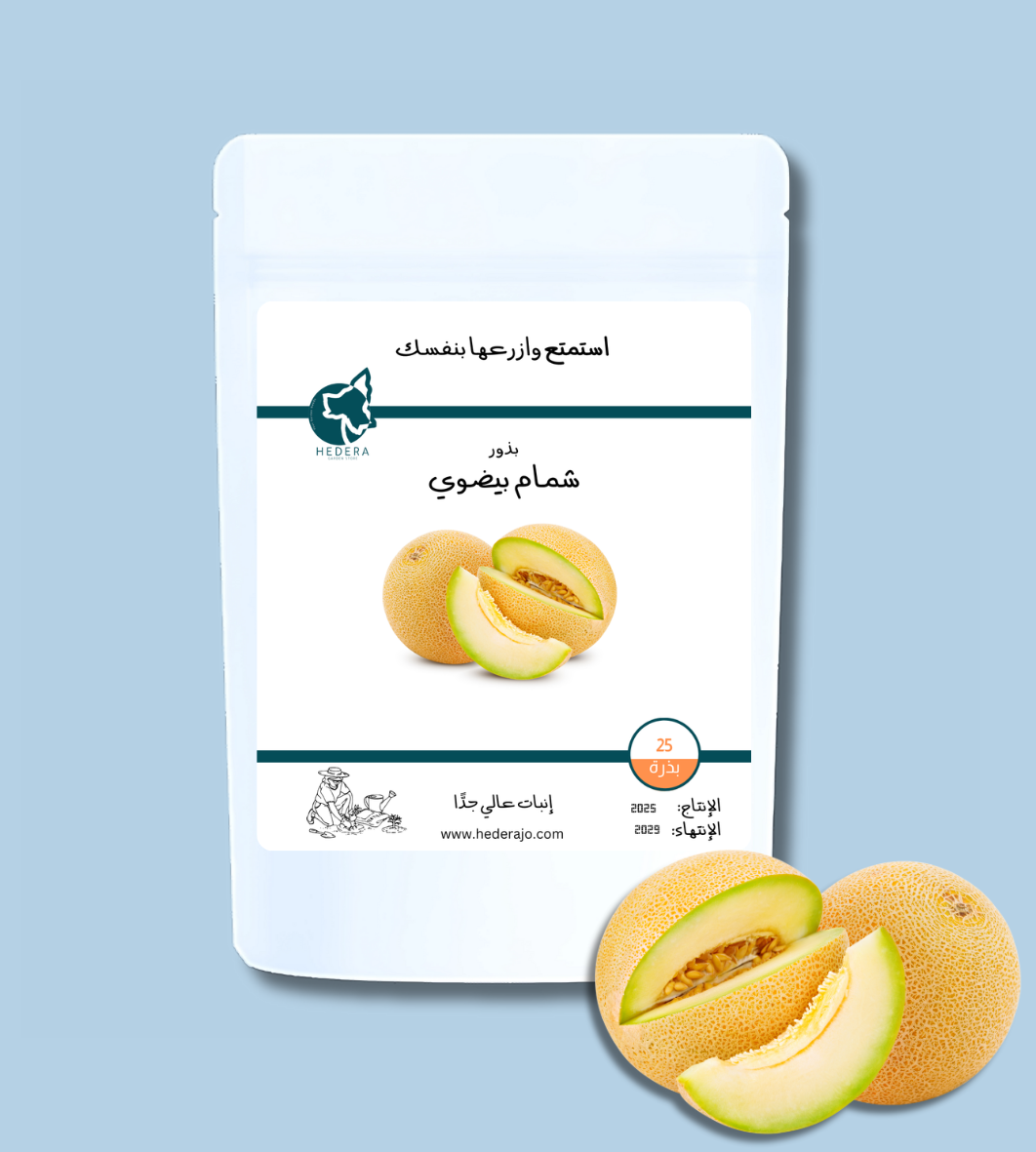 بذور شمام بيضوي عالية الجودة - High Quality Melon Seeds