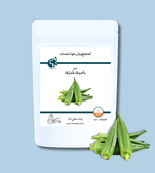 بذور بامية بلدية عالية الجودة - High Quality Okra Seeds