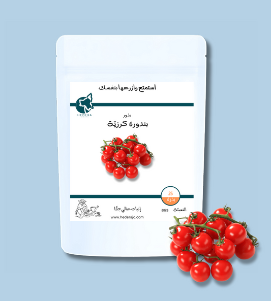 بذور بندورة كرزية حمراء عالية الجودة - High Quality Red Cherry Tomato Seeds