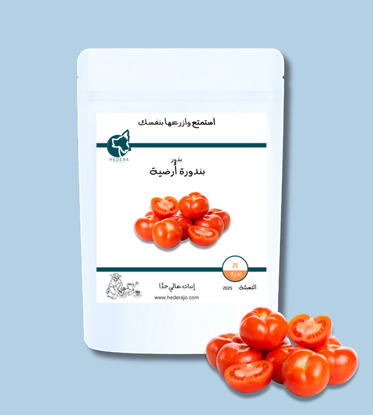 بذور بندورة أرضية عالية الجودة - High Quality Tomato Seeds