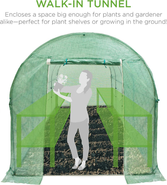 بيت بلاستيكي نفق عالي الجودة - Greenhouse Tunnel