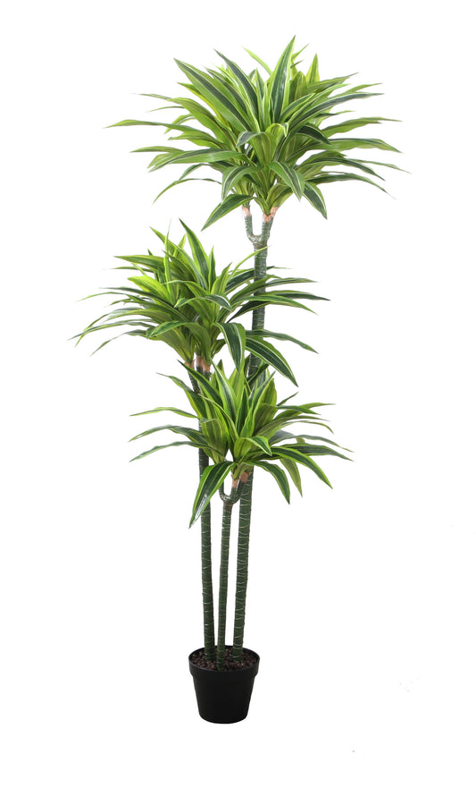 نخلة ريفليكسا - Artificial Reflexa Palm