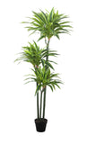 نخلة ريفليكسا - Artificial Reflexa Palm