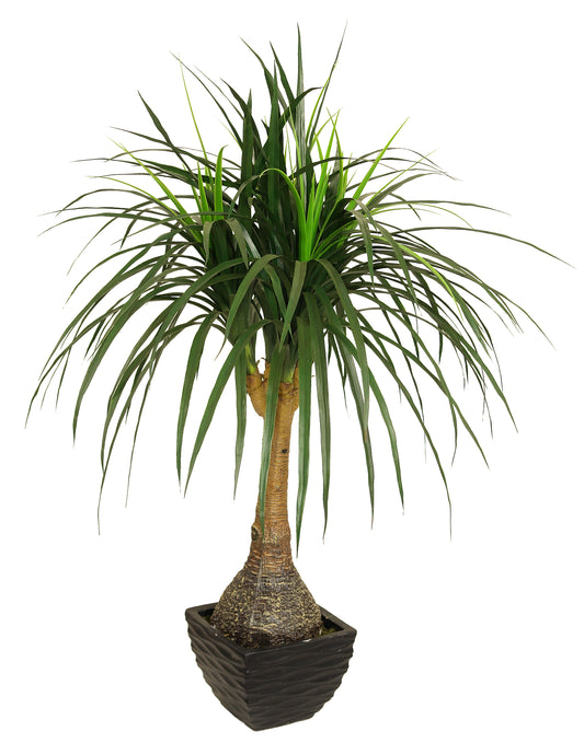 نبتة رجل الفيل صناعية - Nolina Recurvata Plant