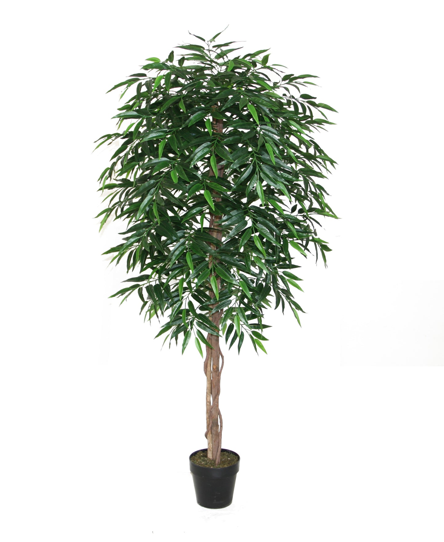 نبات جاتروبا صناعي - Artificial Wood Trunk Jatropha Padagrica