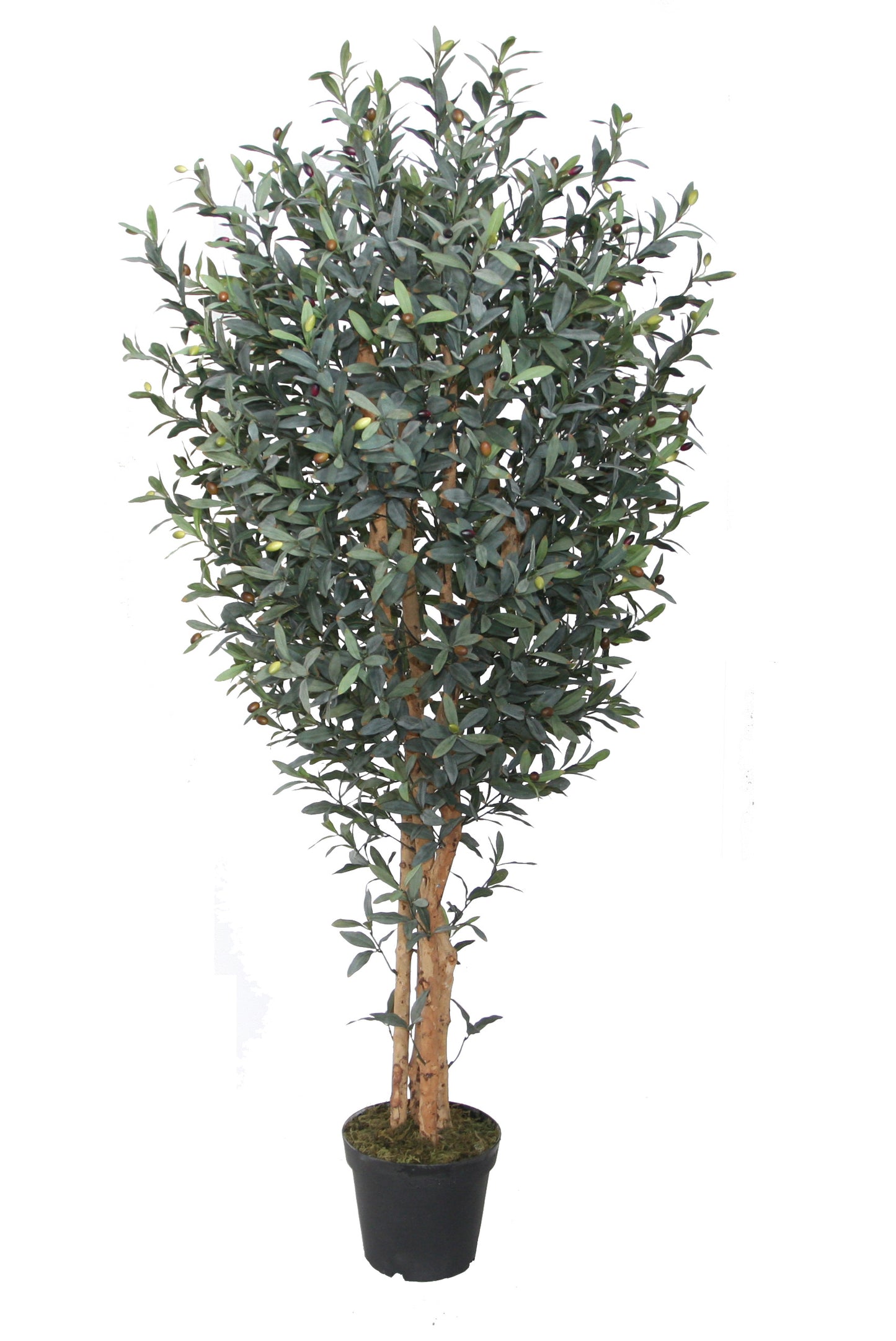 شجرة زيتون صناعية - Artificial Olive Tree