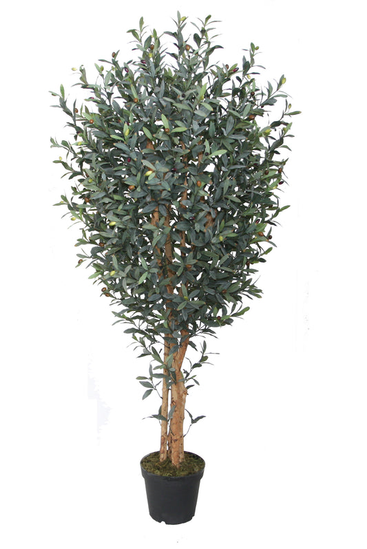 شجرة زيتون صناعية - Artificial Olive Tree