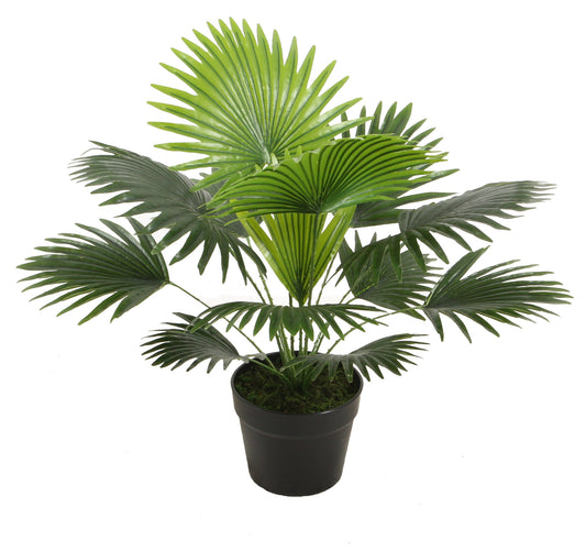 نخلة شاميروباس صناعية - Fan Palm