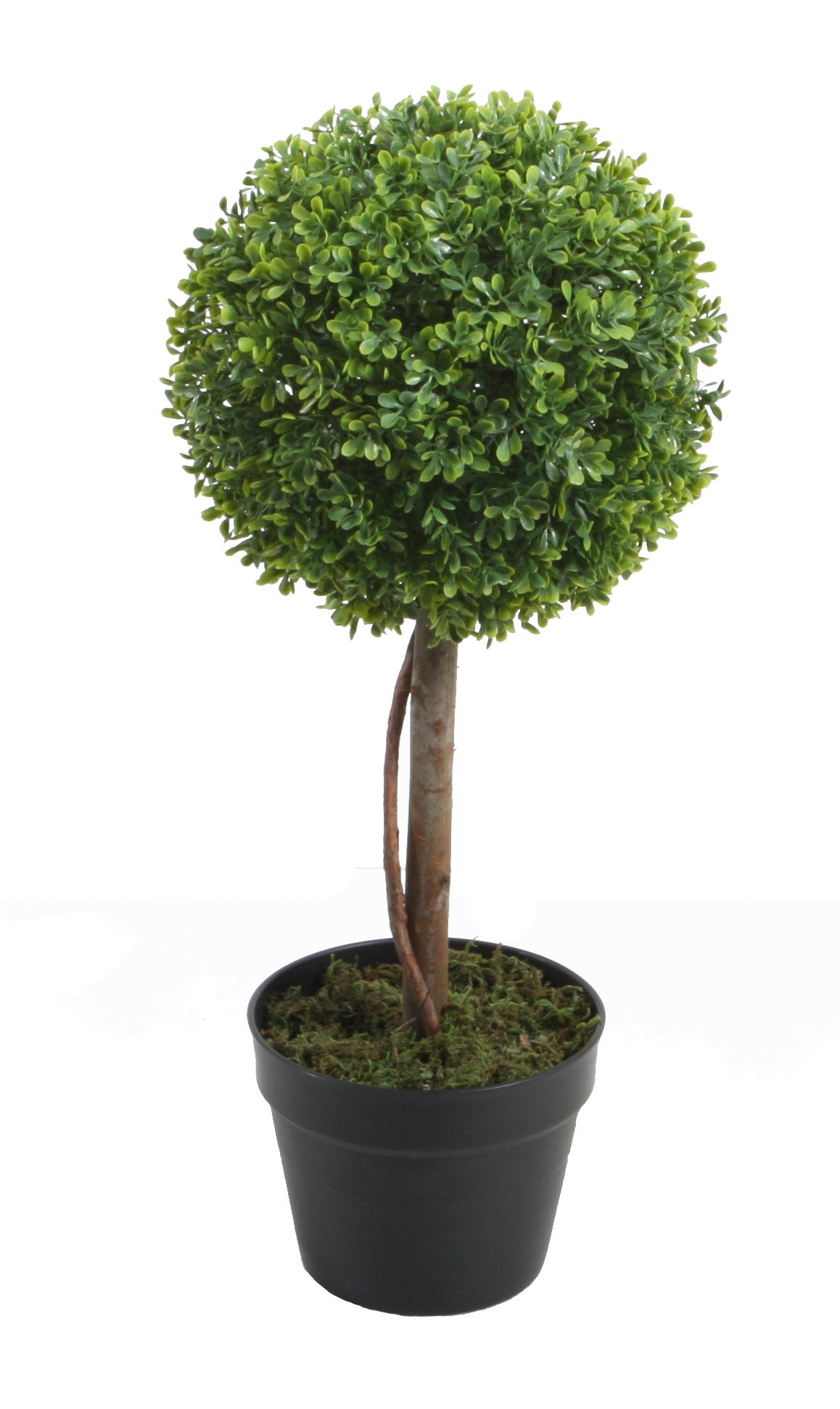 نبات شمشير كروي صناعي - Boxwood Single Ball