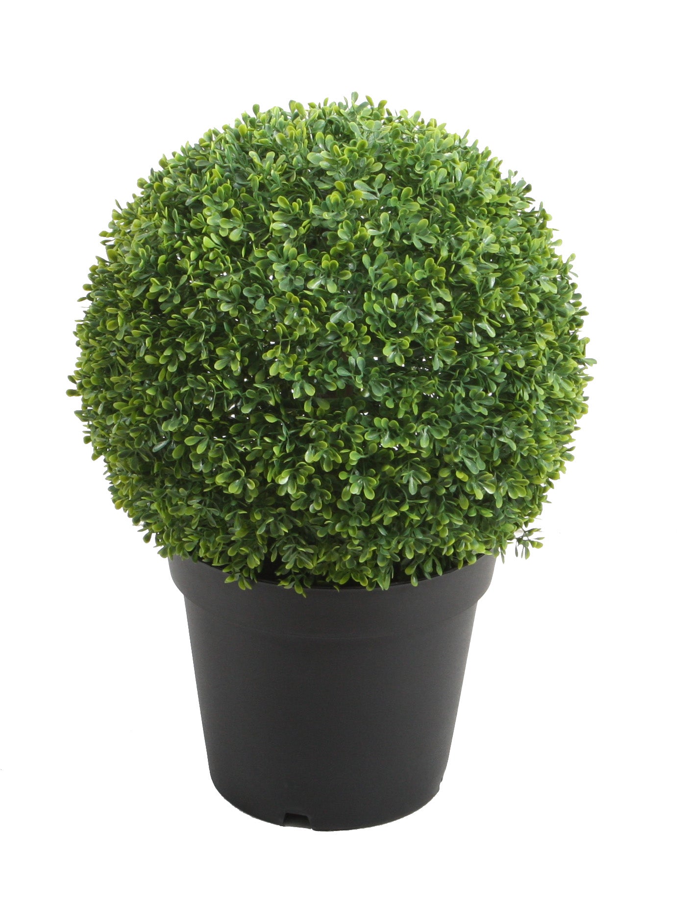 نبات شمشير كروي صناعي - Bushy Boxwood Plant