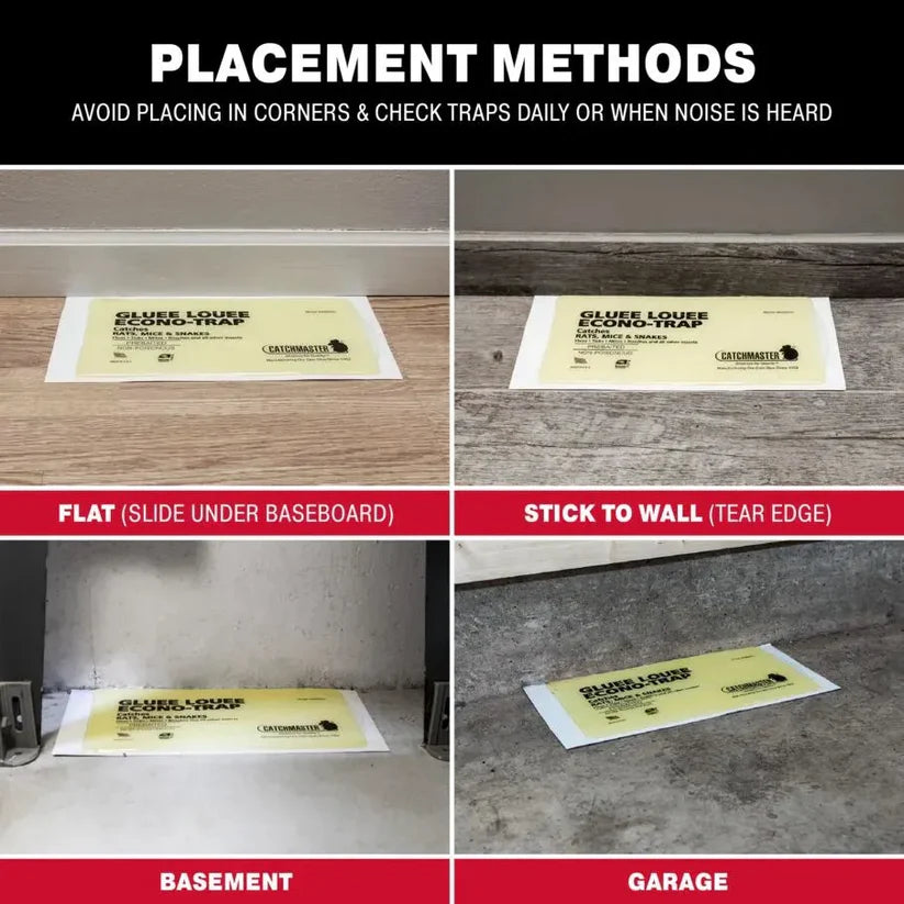 مصيدة لاصقة للفئران والحشرات حجم كبير- Large size Mouse Insect Glue Board Traps