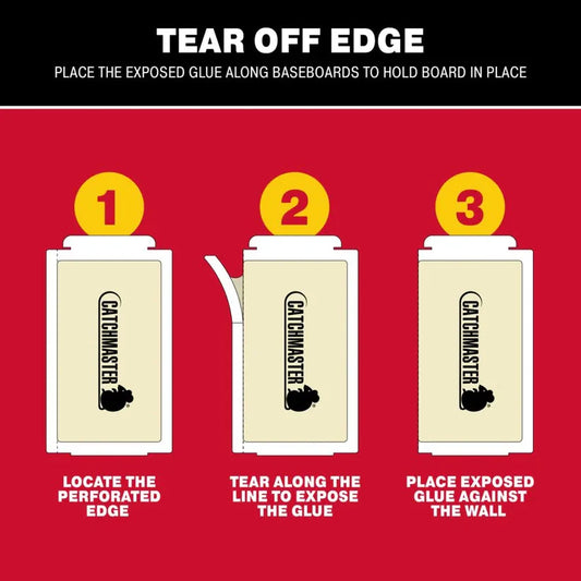 مصيدة لاصقة للفئران والحشرات حجم وسط - Medium size Mouse Insect Glue Board Traps