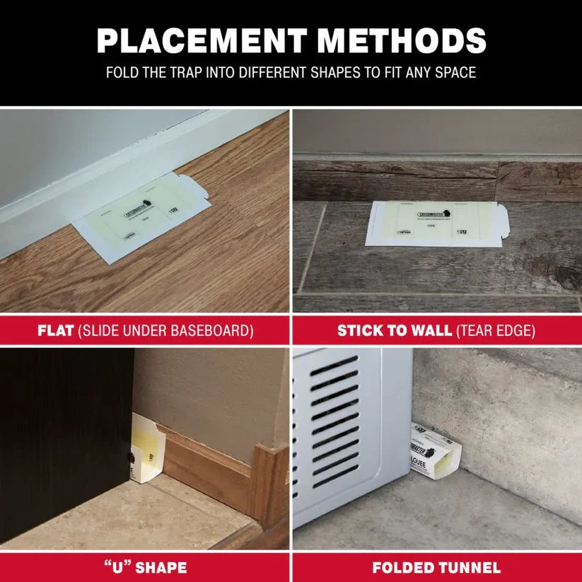 مصيدة لاصقة للفئران والحشرات حجم كبير- Large size Mouse Insect Glue Board Traps