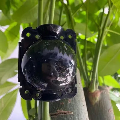 كرة الترقيد الهوائي 8 سم - Propagation Root Ball 8 cm