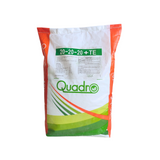 سماد كوادرو الإيطالي 20-20-20 / 10 كغ - Quadro NPK 20-20-20 + TE 10Kg
