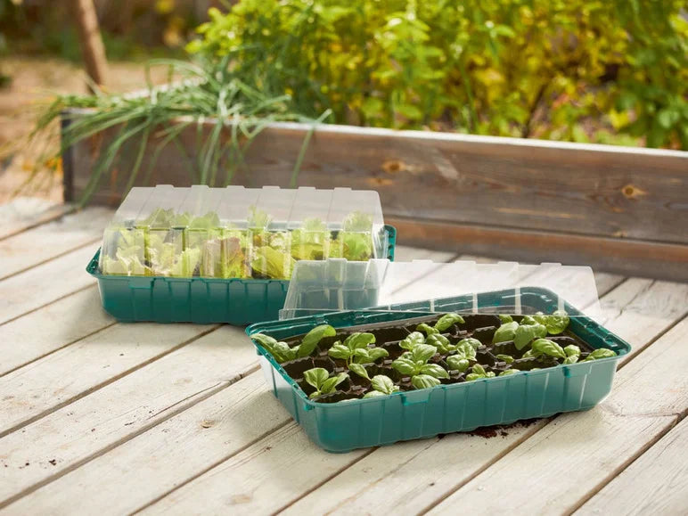 مجموعة تكثير النباتات من بارك سايد الألماني - PARKSIDE Propagator Set