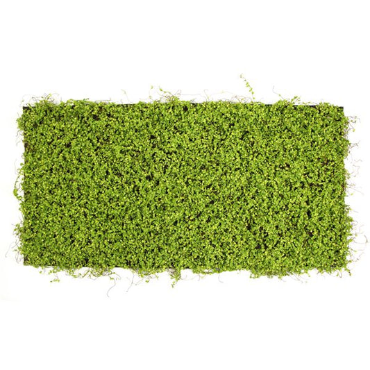جداريات نباتية صناعية متر مربع - Eva Moss Mat